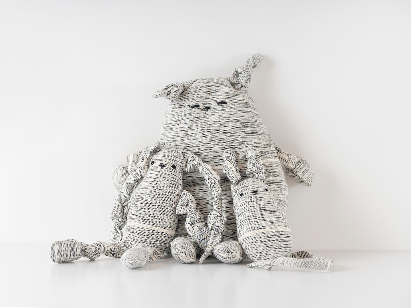 OSO ~ ANIMALIA