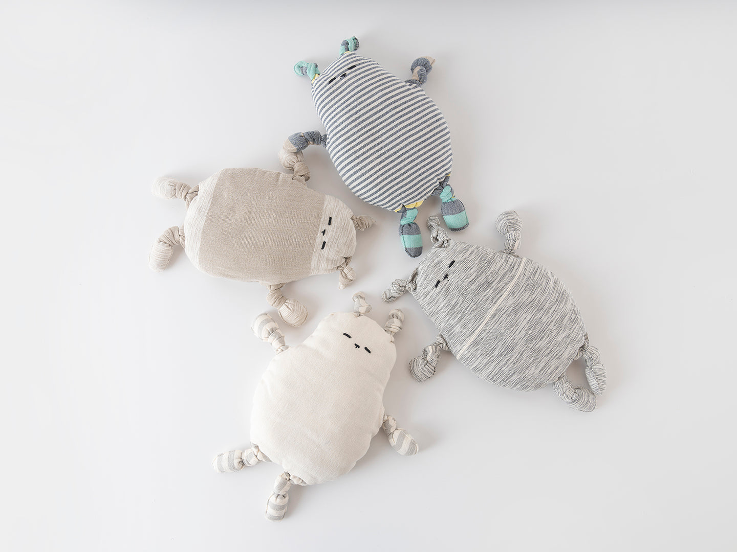 OSO ~ ANIMALIA